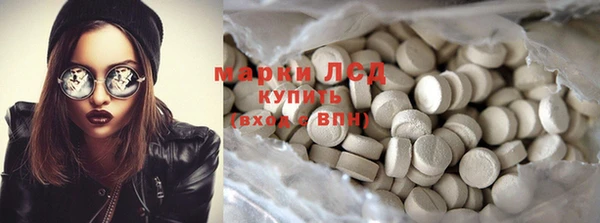 хмурый Инсар